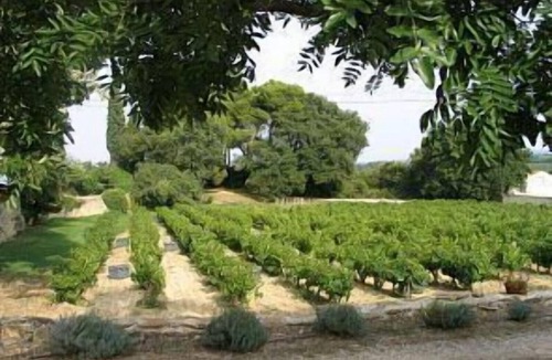 Laudun House | 1: Maison 'Olivier', Domaine des Charmettes