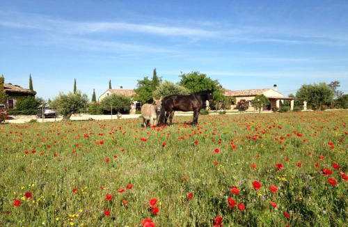 Sainte-Croix-du-Verdon Bed & Breakfast | 175 m² Bed and breakfast ∙ 4 bedrooms ∙ 8 guests