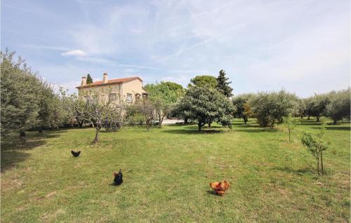 Caromb Apartment | 2 Bedroom Gorgeous Apartment In Caromb