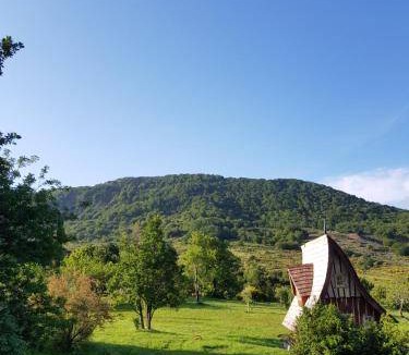 Sederon Bed & Breakfast | 20 m² Bed and breakfast ∙ 2 guests