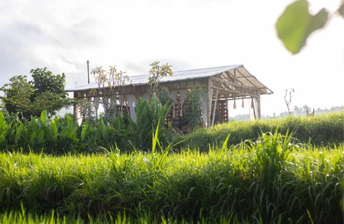 Amlapura Resort | 24 m² Resort ∙ 2 guests