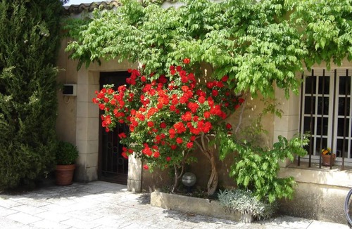 Carpentras House | 40 m² House ∙ 1 bedroom ∙ 2 guests