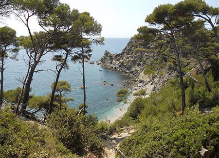 Le Brusc Apartment | A 500 mètres des plages et du port du brusc, Les terrasses des embiez avec piscine et spa