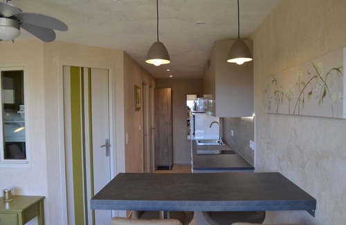 La Faviere Apartment | Air-conditioned apartment at the foot of the beach, magnificent sea view, close to shops