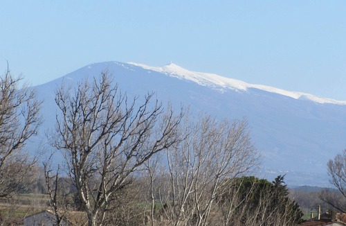 Bedarrides Apartment | air-conditioned apartment, 200m from the village, all shops, quiet, shaded.