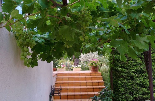 Valreas Apartment | Apartment classified 2 ☆, 2 people, full Provence, 15 minutes from Nyons