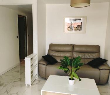 Morieres-les-Avignon Apartment | Appart 1 ch rénové avec piscine