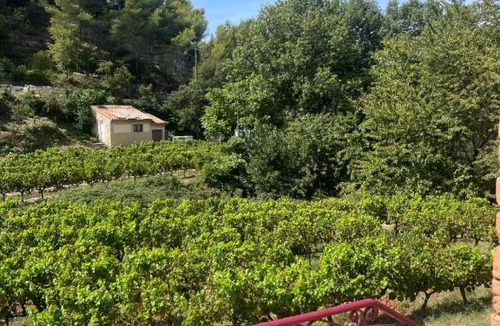 Gigondas Apartment | Appartement 1 chambre au milieu du vignoble de Gigondas
