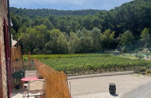 Gigondas Apartment | Appartement 1 chambre au milieu du vignoble de Gigondas