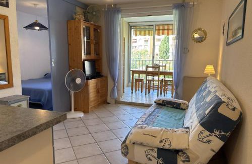 Miramar Apartment | Appartement 2 pièces cabine, proche plage, animaux acceptés - FR-1-826-16