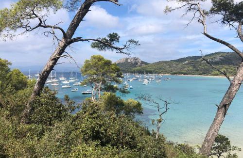 Porquerolles Apartment | APPARTEMENT GRAND CONFORT PORQUEROLLES