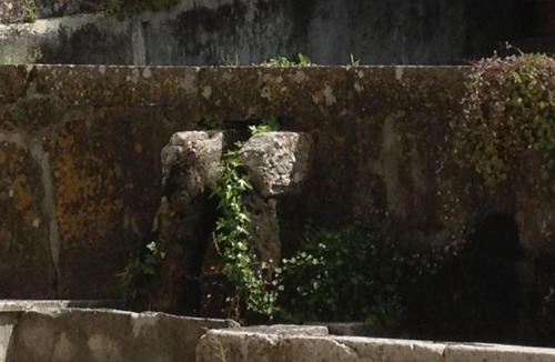 Brignoles House | B&b Guest House Domaine le Clos du Pavillon Provence