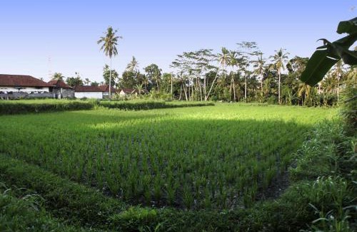 Kemenuh House | Bali Sunshine Ubud