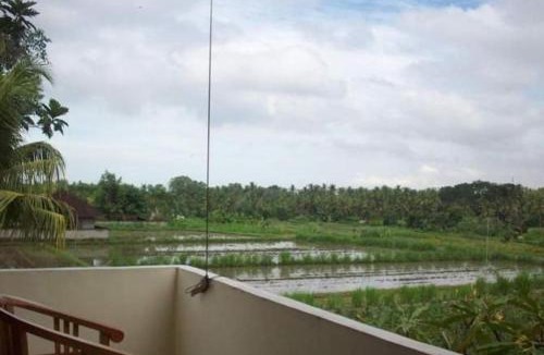 Blahbatuh House | Bali Traditional homestay