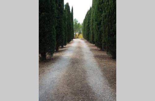 Aups House | Bastide au milieu des vignes et des oliviers Aups