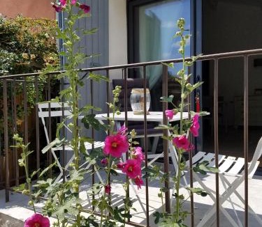 Baudinard-sur-Verdon House | Bastide Saint Jean Baptiste