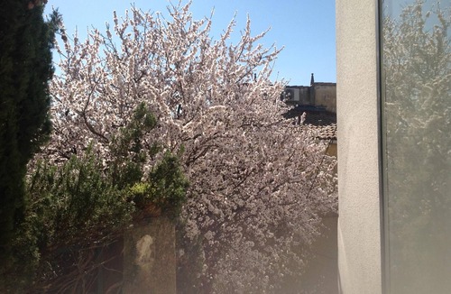 Rochefort-du-Gard House | Between Avignon and Pont du Gard House 85 M2.