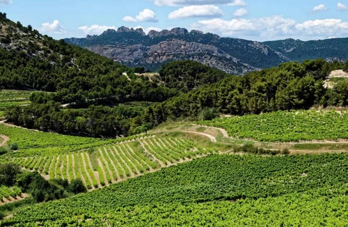 Mondragon House | Camping maeva Escapades La Pinède en Provence *** - Mobile Home Origan 3 Rooms 4 People