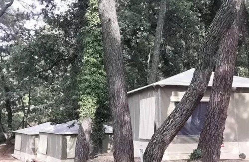 Mondragon House | Camping maeva Escapades La Pinède en Provence *** - Basilic Canvas Bungalow 3 Rooms 4 People Without Toilets