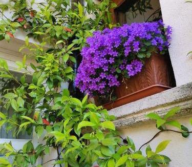 Bomerano Apartment | Casa Villani
