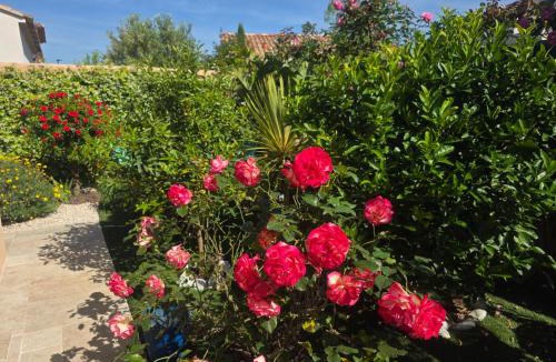 La Londe-les-Maures Bed & Breakfast | Chambre d'hôtes dans Villa Diane