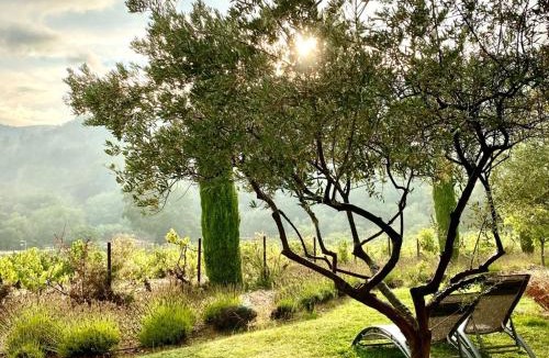 Lafare Bed & Breakfast | Chambres & Table d'Hôtes Au Soleil du Bonheur
