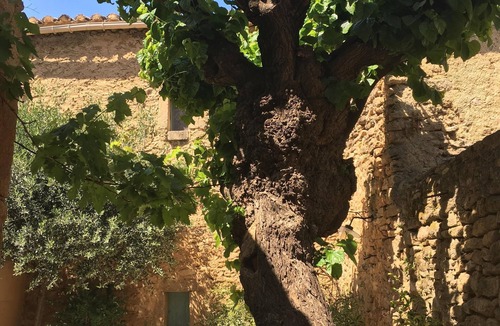 Vers-Pont-du-Gard House | Charming cottage in the heart of the village, terraces, shaded patio