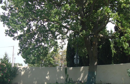 Noves House | Charming villa with pool