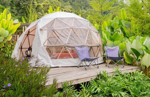 Kedisan Other | Cloud Hills Glamping