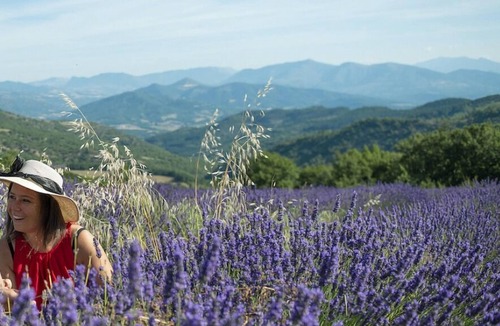 Digne-les-Bains Apartment | Coeur de ville, T2, pedestrian street, Digne les Bains
