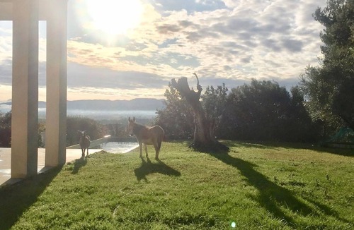 Merindol House | Contemporary architect-designed house at the foot of the Luberon mountains