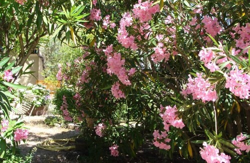 Saint-Saturnin-les-Avignon Cottage | Country Cottage /Gite - Saint Saturnin les Avignons
