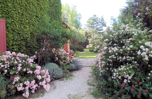 Courthezon House | Courthézon near Avignon, holiday villa, swimming pool, beautiful park