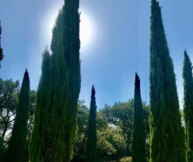 Mondragon Bed & Breakfast | Domaine du Commandeur