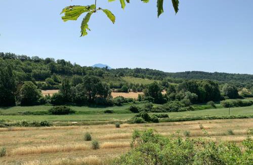 Roumoules Apartment | Domaine le Commandaire