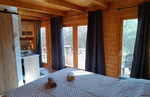 Aurons Apartment | Escapade sous les pins 20m2
