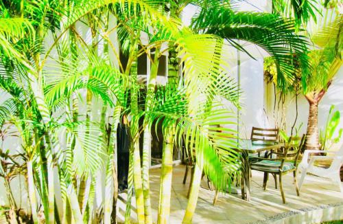 Playacar House | Executive Basic Room With Swimming Pool Air Conditioning and Parking