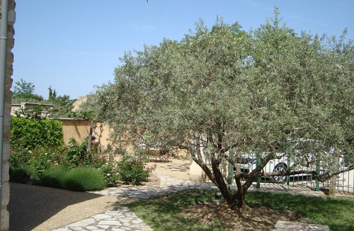 Maubec House | Former vineyard, now converted into beautiful holiday homes - in the heart of Provence