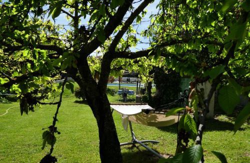 Valensole Bed & Breakfast | Gîte L'auguste Maison d'Hôtes
