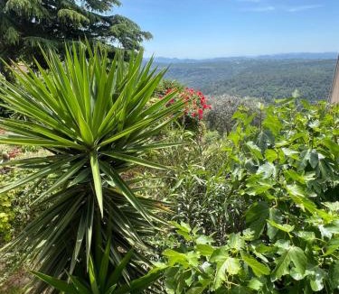 Saint-Cezaire-sur-Siagne Apartment | Gîte Le Figuier de Saint Ce - 3 stars - Holiday Home Nature View