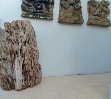 Batuan House | Gelombang House