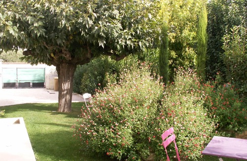 Orange Apartment | Ground floor garden apartment + POOL
