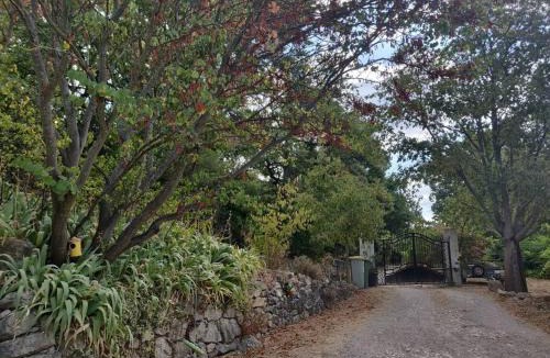 Simiane-Collongue Apartment | Guest house proche Aix en Provence