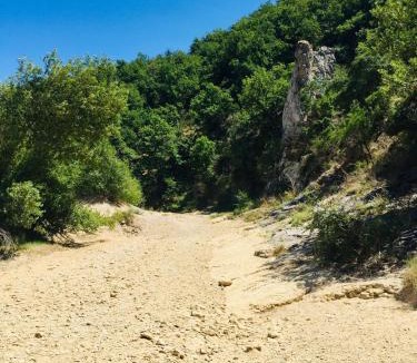 Saignon Bed & Breakfast | Histoire de cru