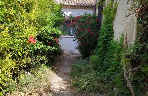 Fontvieille Cottage | House 70 m2 in Fontvieille Provence with garden for 6 people