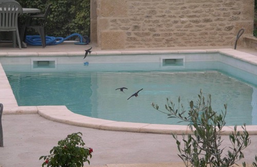 Vers-Pont-du-Gard House | House with terrace on the ground floor.
