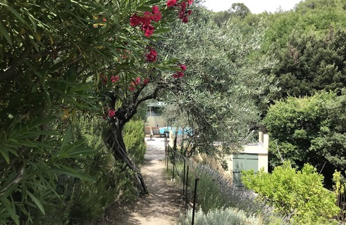 Callas House | Huge 12x5m saltpool. Unique 8000m2 naturist property, 5min to Callas square .