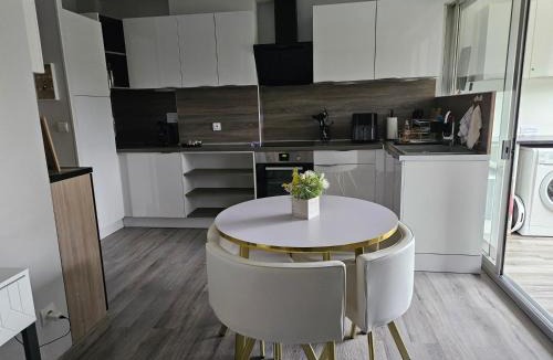 Digne-les-Bains Apartment | Idéal long séjour, Souvenirs de Provence,T2 classé, vue sur les montagnes, toutes commodités!