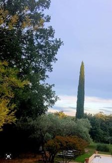 Roussillon House | Joli mas "Rêve de lune" en plein coeur du Luberon