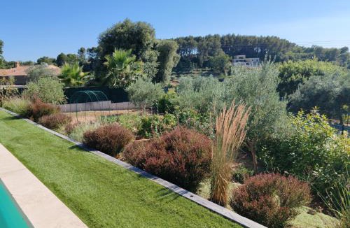Draguignan House | La Tiny de Louis, au milieu des oliviers, avec jolie piscine